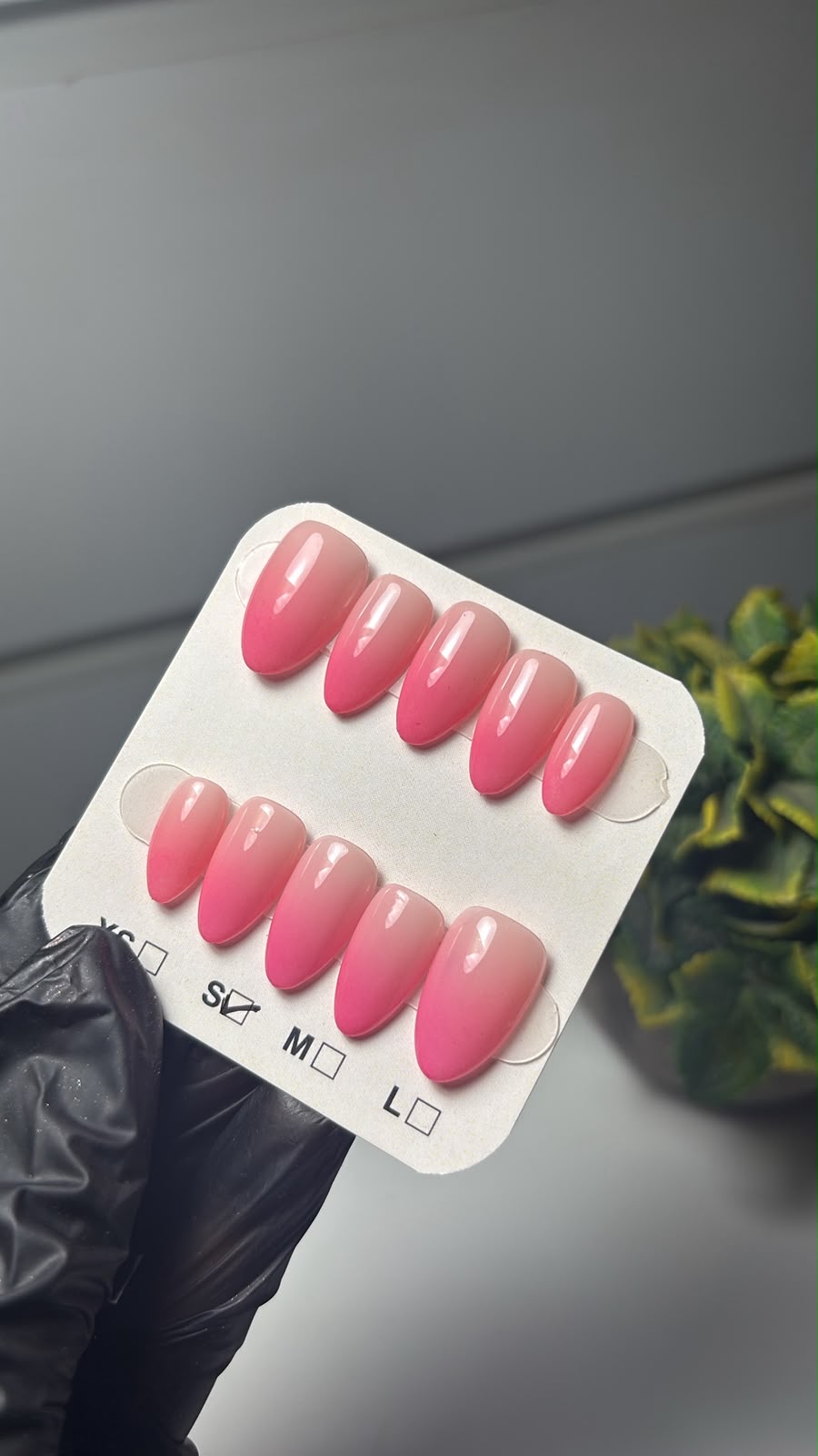 Pink Ombre